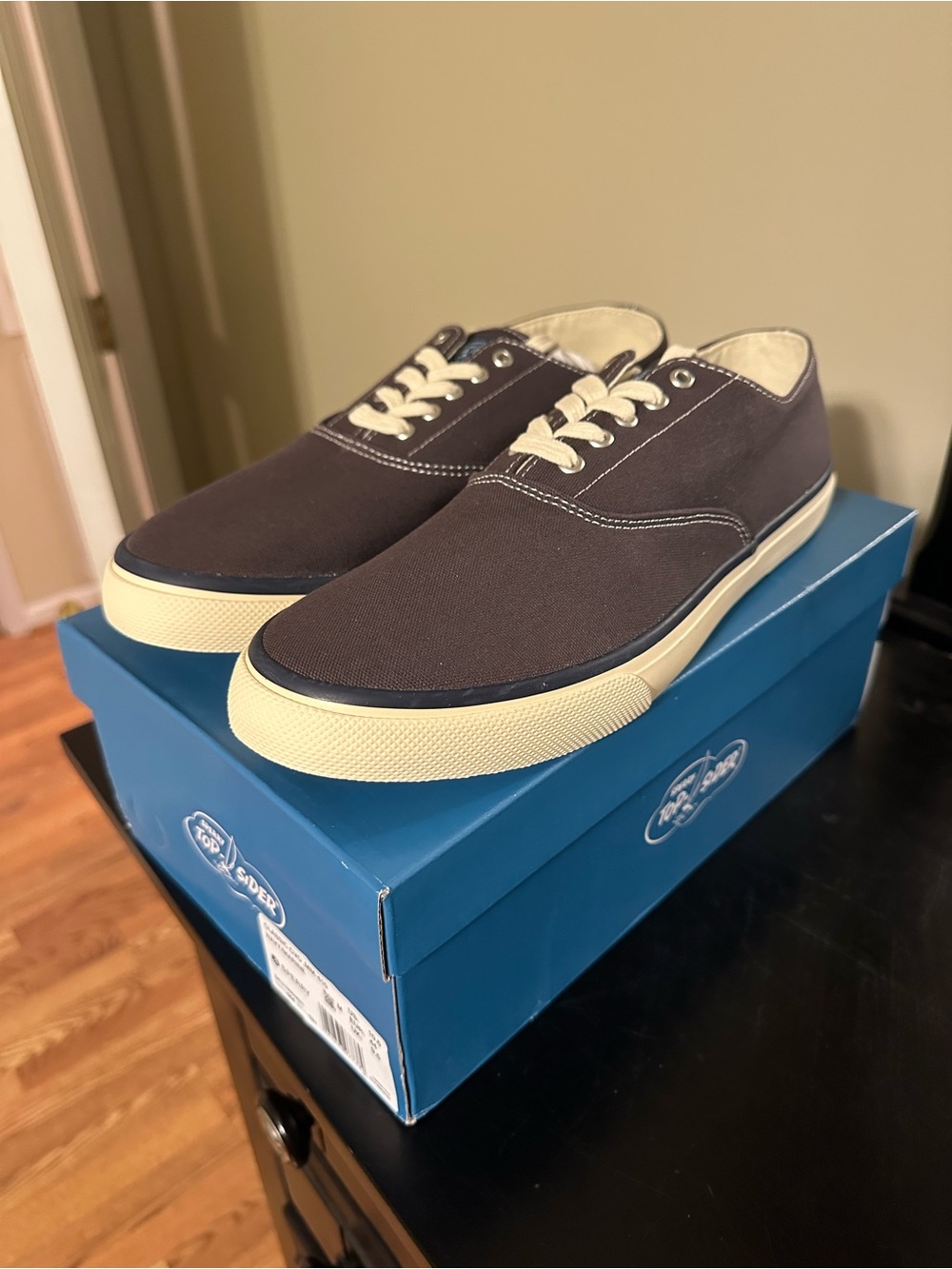 Sperry Men's Canvas Low-Top Sneakers in Dark Brown with Cream Accents
